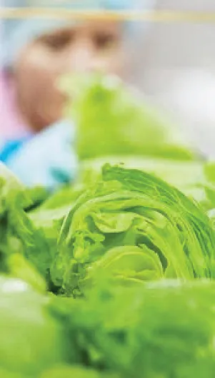 สี่มุมเมืองจัดหา