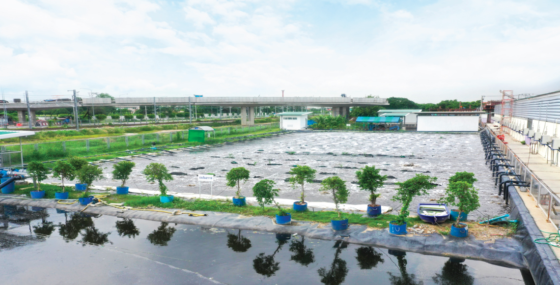 Sustainability Banner