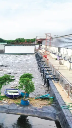 บ่อบำบัดน้ำเสีย