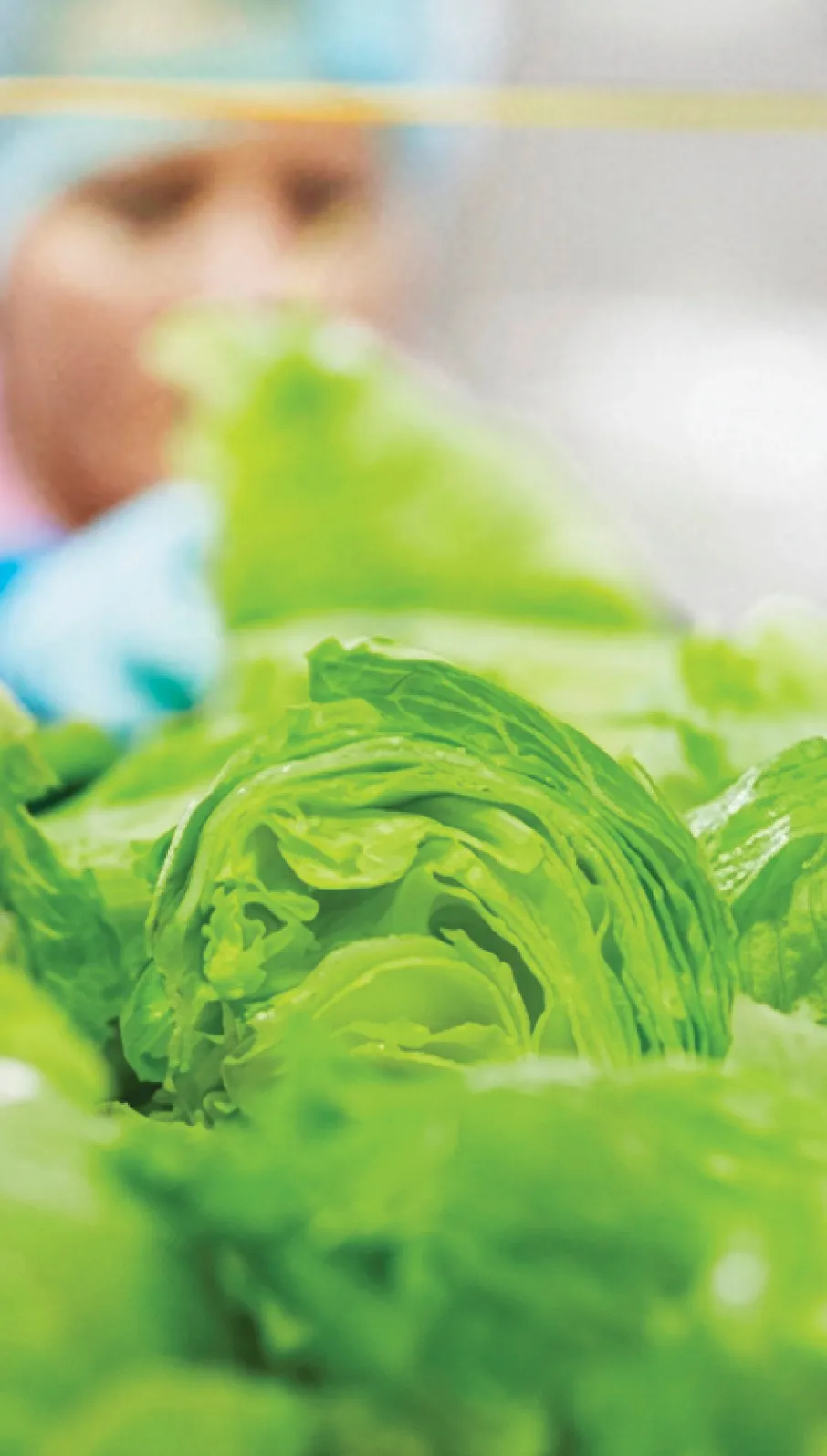 สี่มุมเมืองจัดหา