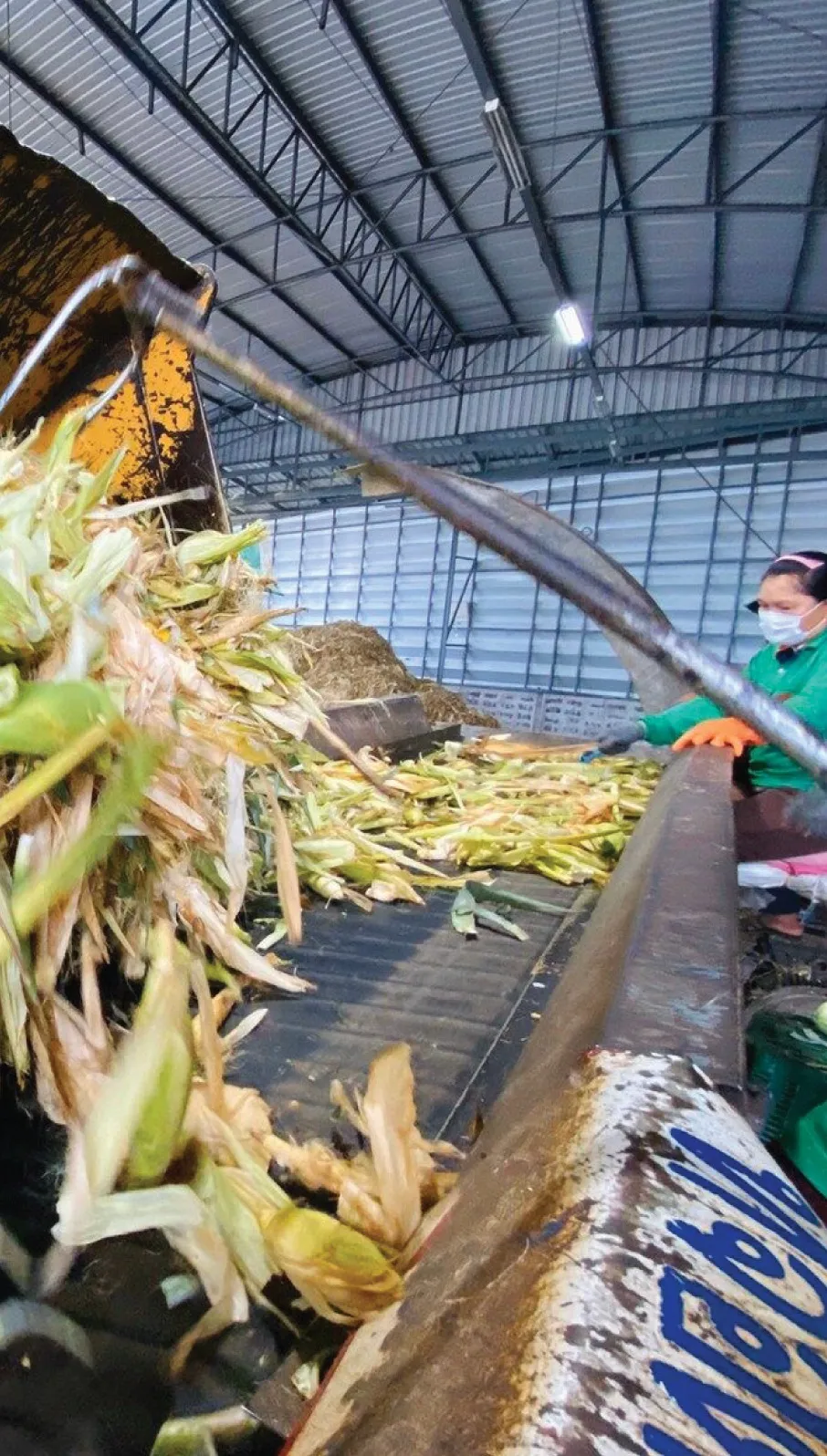 อาหารโค อาหารปลา