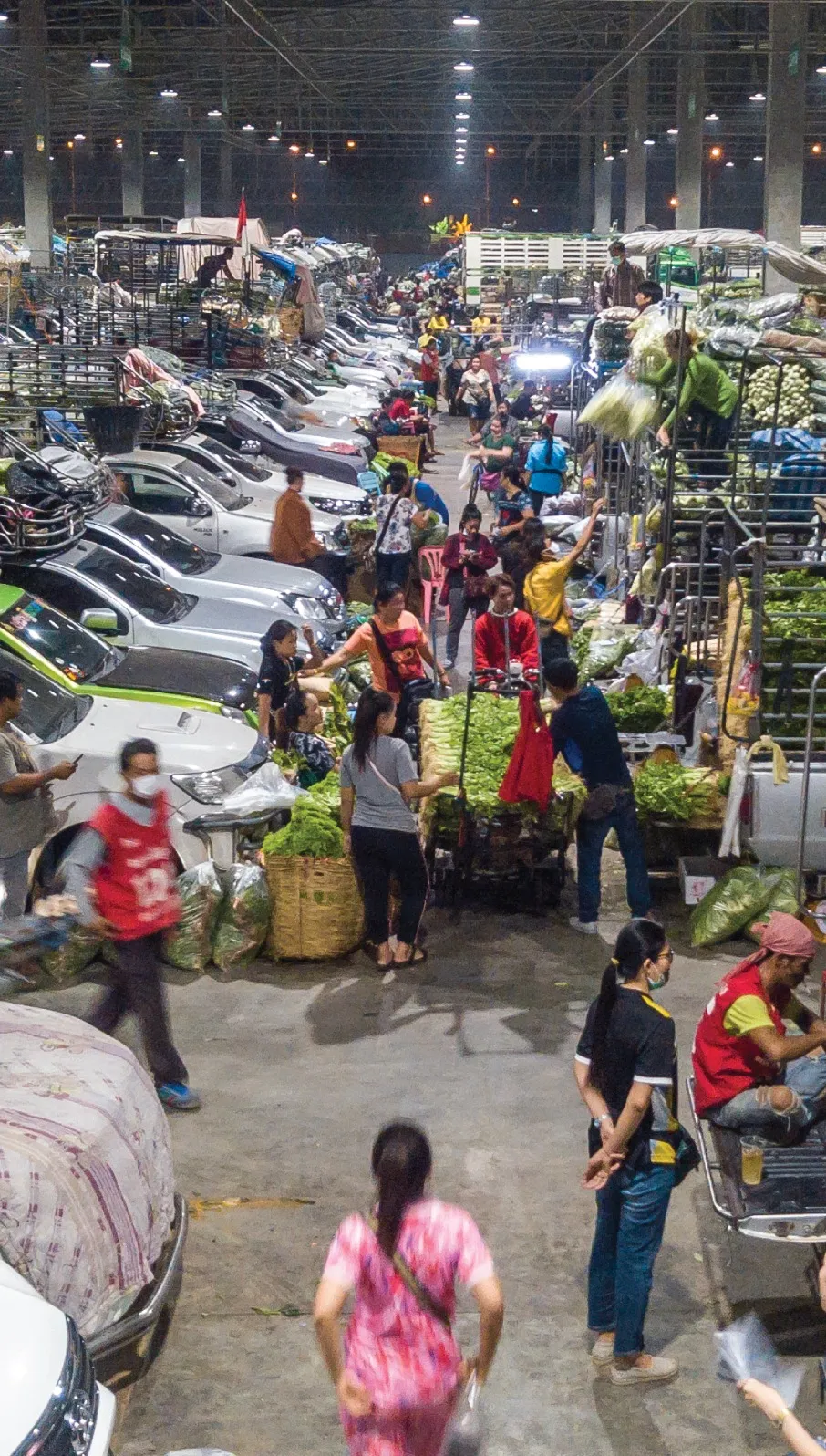 การขายสินค้าประเภทผัก
